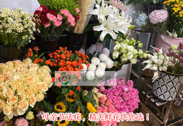 2024百色西林县母亲节送花,百色西林县精美鲜花供您选!