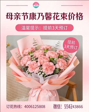 百色西林县花店母亲节康乃馨花束
