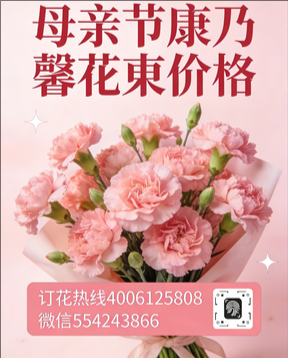 百色西林县花店母亲节康乃馨花束